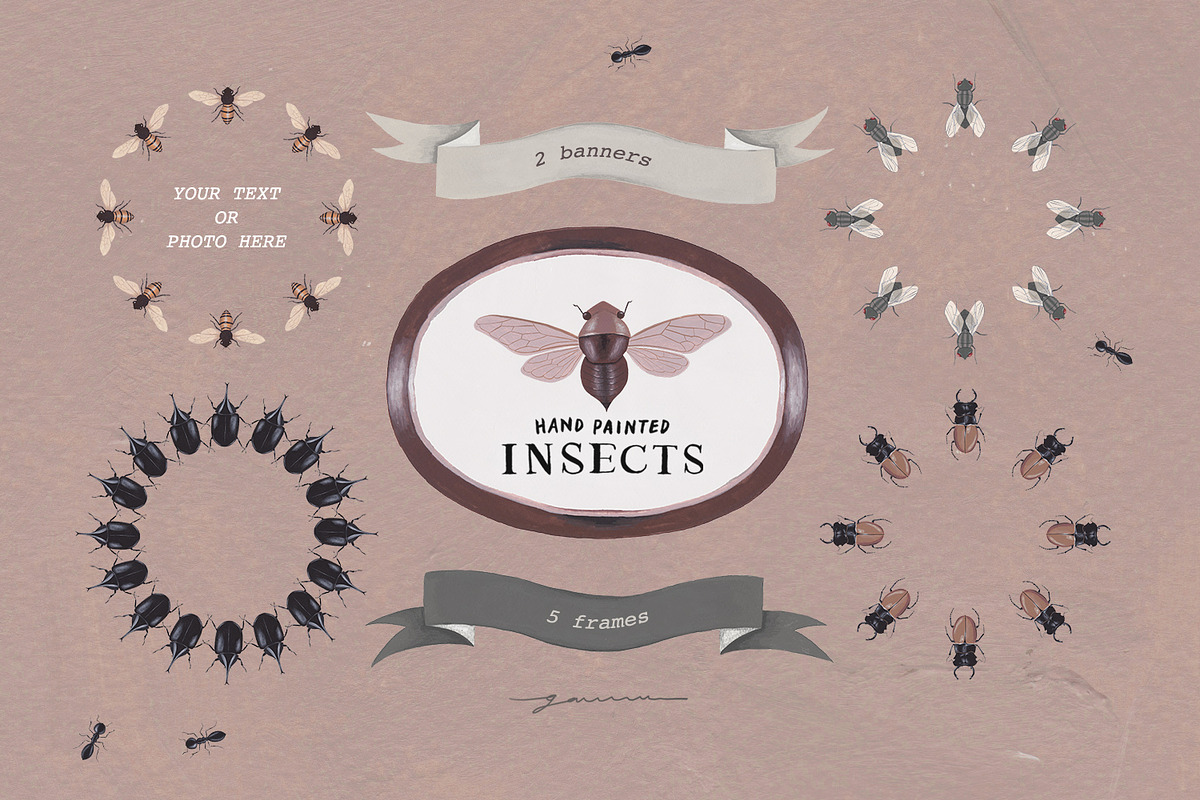 Hand Painted Insects Clipart, an Illustration by gamm (Photo 4 of 9)
