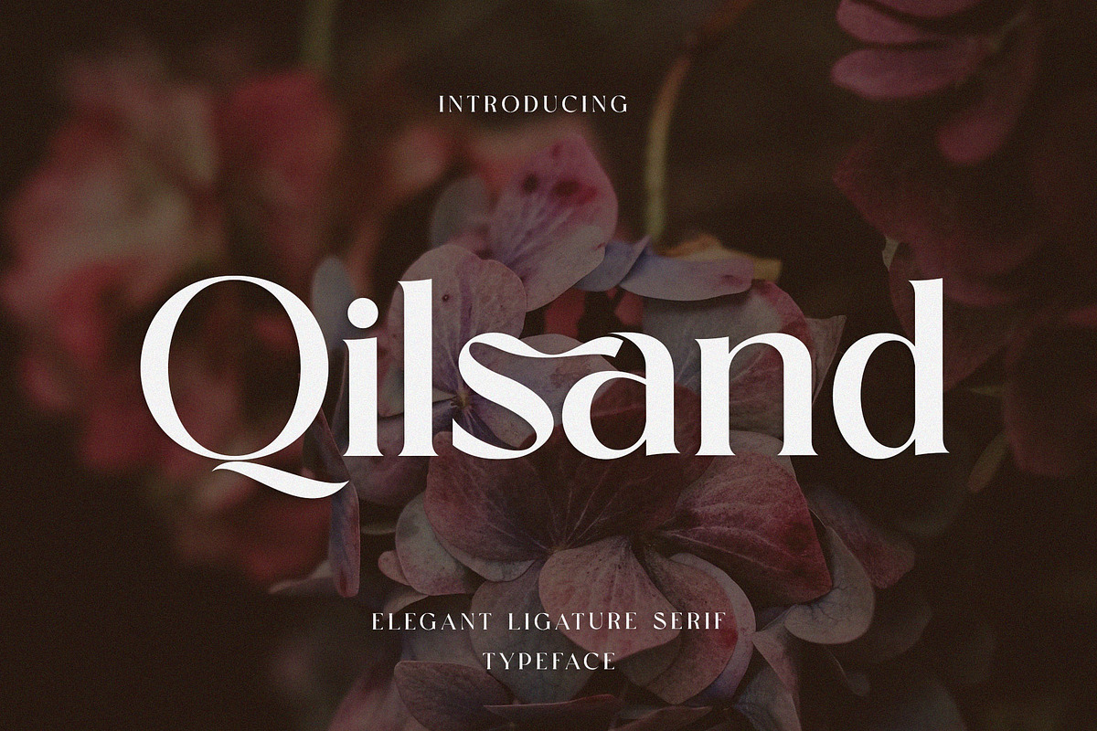 Qilsand Elegant Ligature Serif, a Serif Font by Alfinart (Photo 1 of 10)