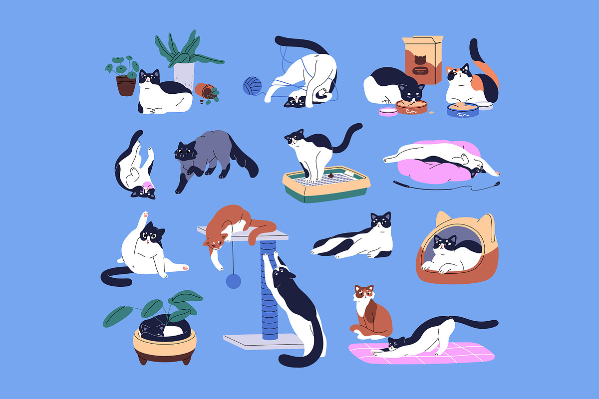 Funny cats set, banner, patterns, an Animal Illustration by PaperTrident (Photo 1 of 8)