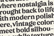 Sonttak Bold Retro Display Serif, a Serif Font by timelesstype.co (Thumbnail 6 of 15)