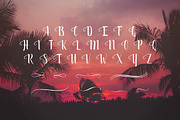 September Script, a Font by Font Bundles (Thumbnail 7 of 7)