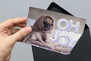 Balloon Type, an Object Graphic by Design Assets (Thumbnail 3 of 11)