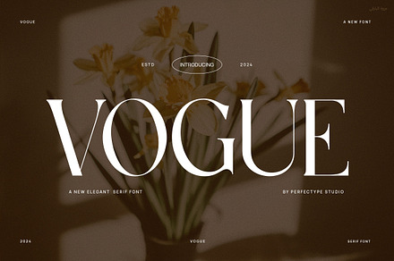 Vogue Elegant Serif Font, a Serif Font by Perfectype