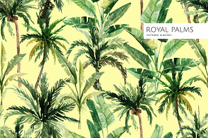 Royal Palms, Patterns & Motifs!