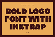 Pilker - Bold Logo Font with Inktrap, a Sans Serif Font by Pekotype (Thumbnail 2 of 15)