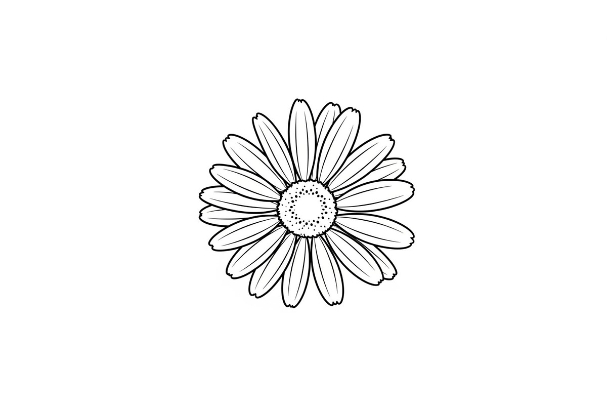 Daisy Flower Line Art Vector Bundle0, an Illustration by jahid234 (Photo 3 of 51)