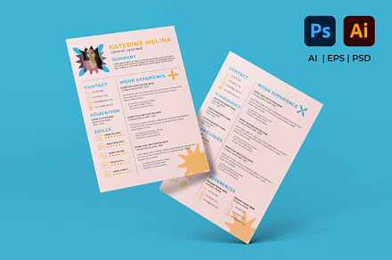 Professional CV, Resume Template