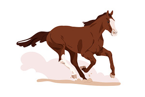 Race Horses, Stallions Running Set