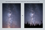 Vector Tree Line Silhouettes, an Object Graphic by Build Interactive (Thumbnail 4 of 5)