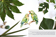 watercolor jungle wildlife clipart, an Animal Illustration by Pink Studio Art (Thumbnail 4 of 4)