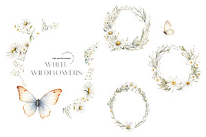 Daisy Wildflowers Butterfly Clipart