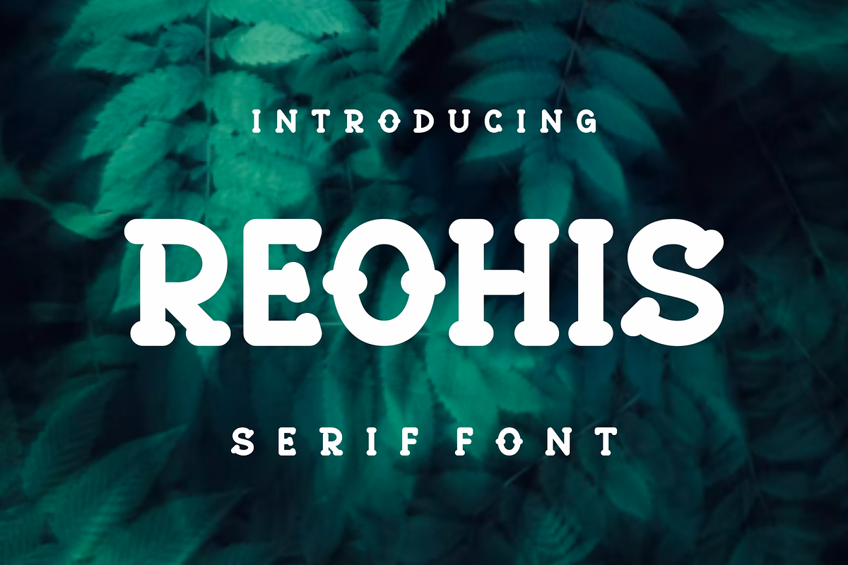 Reohis, a Serif Font by lelevien (Photo 2 of 5)