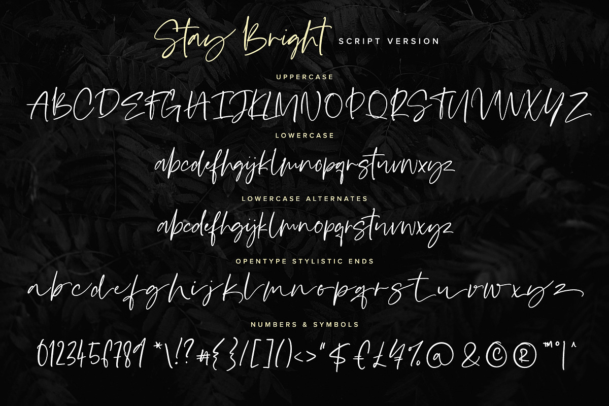 Stay Bright Font Duo preview 7