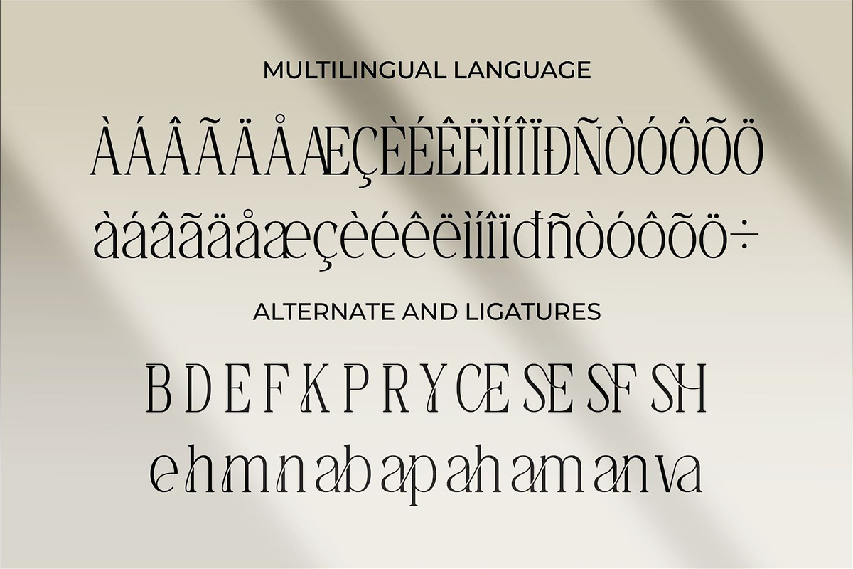 Shery || Vintage Serif Font, a Serif Font by Idea Studio (Photo 10 of 10)
