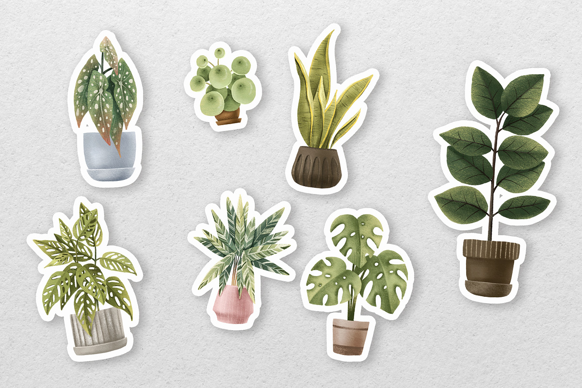 Cozy House Plants Clipart, a Decorative Illustration by the_myro (Photo 7 of 10)
