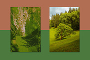 Minimalist country style bundle 71, a Person Photo by Jenya Porechenskaya (Thumbnail 2 of 7)