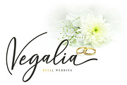 Wellington, a Script Font by MSG Studio (Thumbnail 2 of 9)