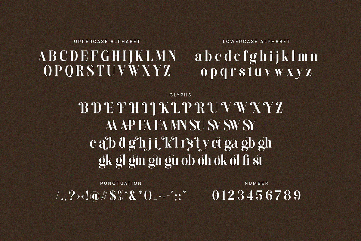 Dinglist - Elegant Serif Font, a Serif Font by TypeLogue (Photo 5 of 5)