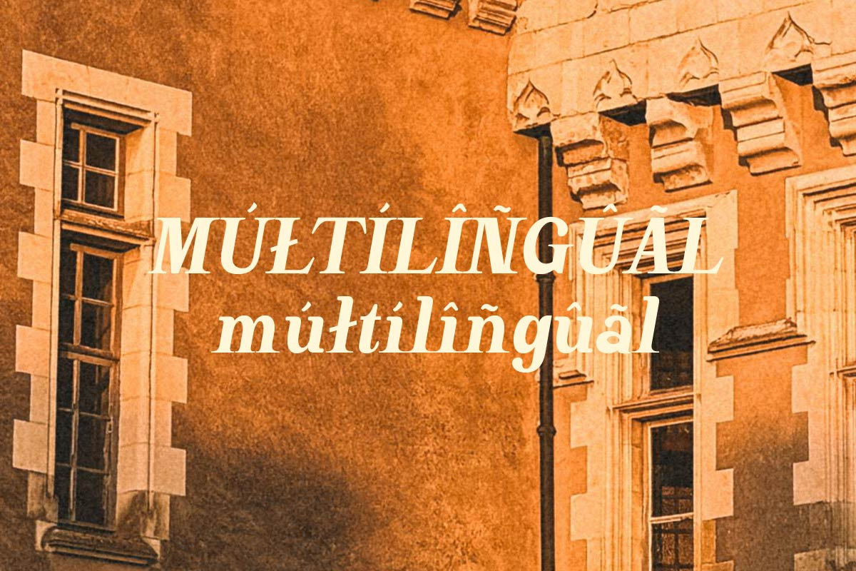 Monday Awaits | A playful serif, a Serif Font by ClevUs (Photo 12 of 13)