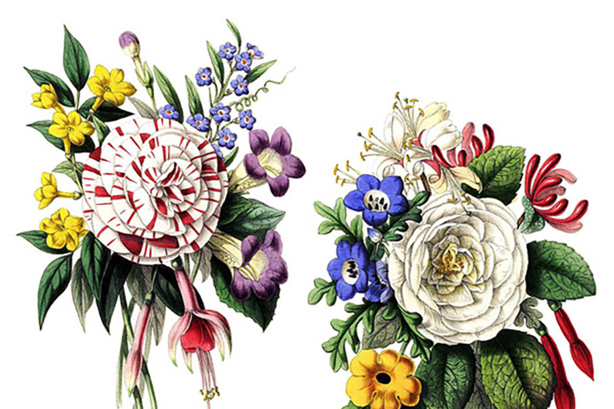 Vintage Botanical Bouquets preview 2