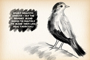 Charcoal Brushes, a Brush Add-On by The Artifex Forge (Thumbnail 2 of 4)