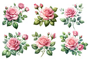 Watercolor Roses Clipart Blush Flora, an Illustration by Designworld (Thumbnail 4 of 6)