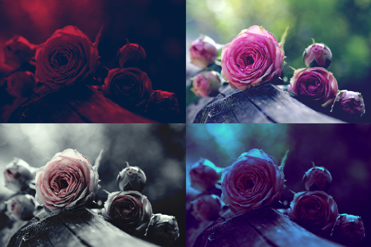 POCO - Bring your images to life, an Action Add-On by 89colors (Photo 3 of 6)