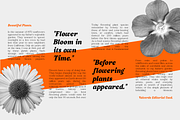 Valverde Functional Serif-36 Fonts, a Serif Font by Jehoo Creative (Thumbnail 8 of 15)