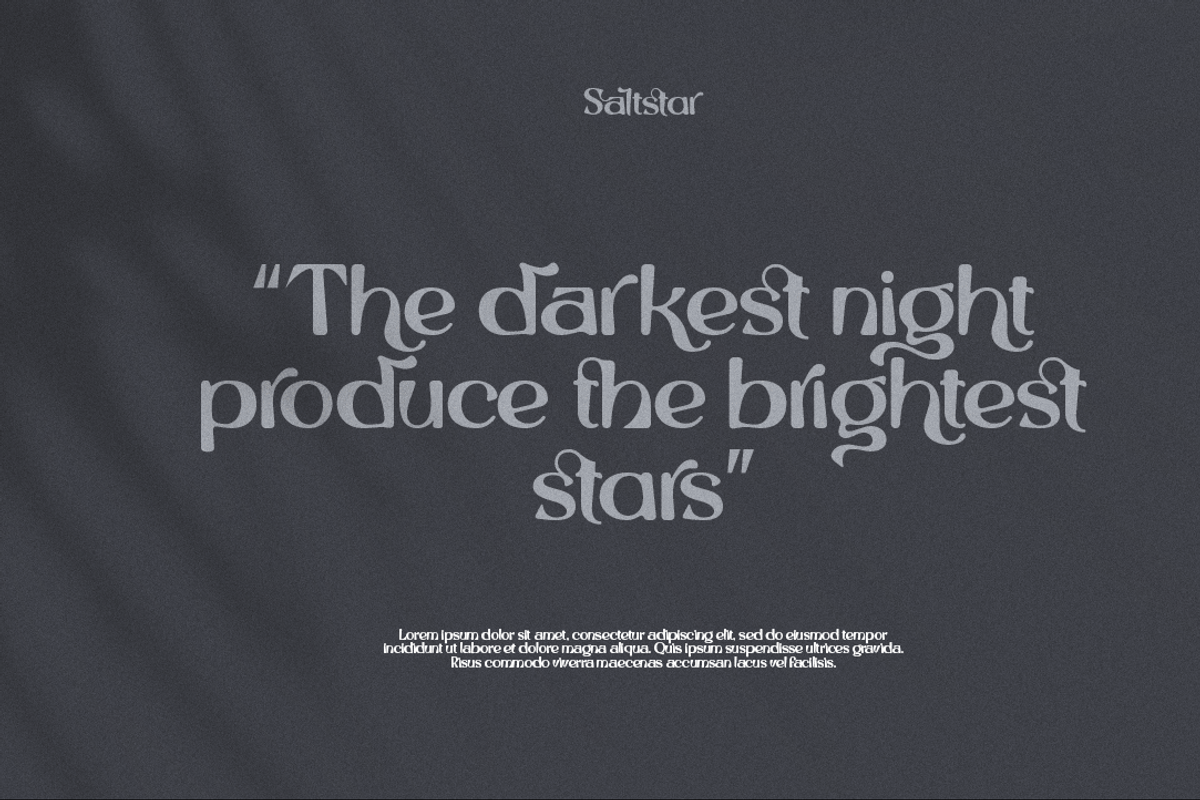 Saltstar Font, a Sans Serif Font by Grontype (Photo 10 of 12)