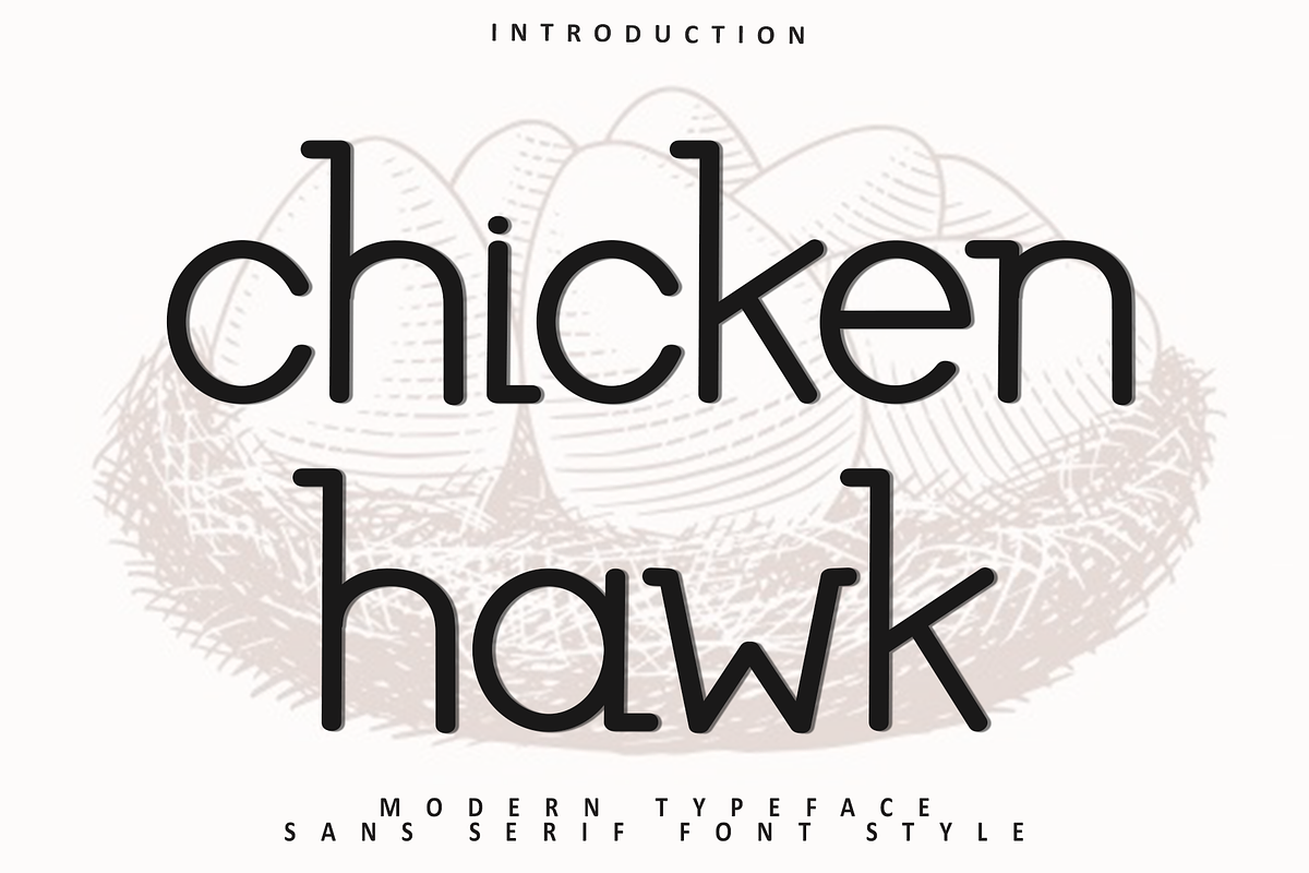 Chicken hawk, a Sans Serif Font by FreshTypeINK (Photo 1 of 8)