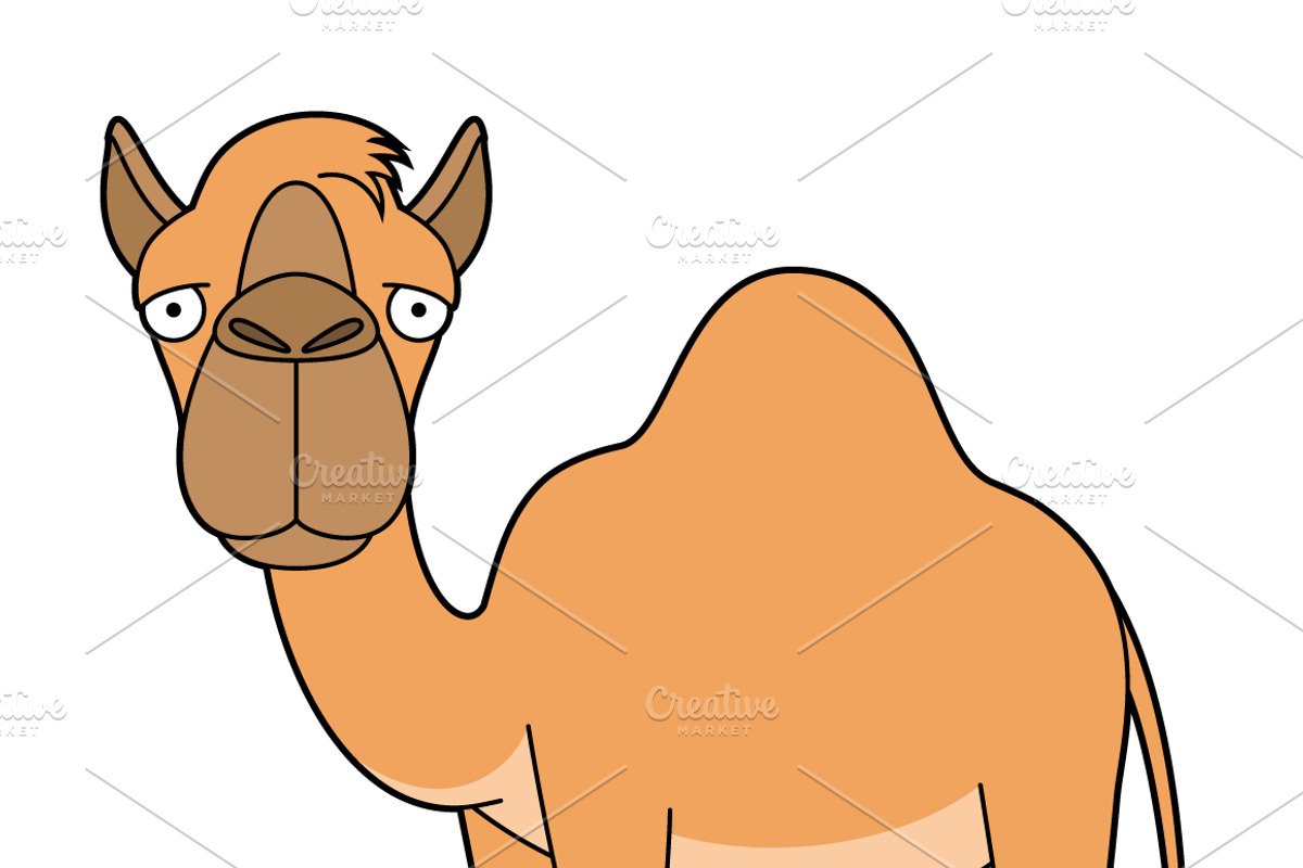 27x African Animals in cartoon style, an Animal Illustration by asantosg (Photo 9 of 12)