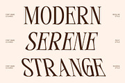 CS Ayres – Contemporary Serif Font, a Serif Font by Craft Supply Co. (Thumbnail 2 of 8)