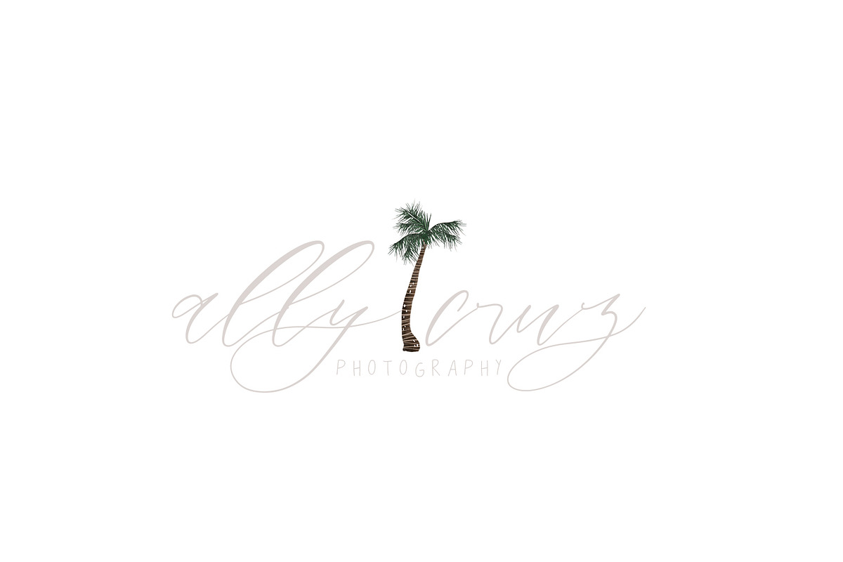 Hawaii | Aloha Collection, an Illustration by The Besotted Co (Photo 6 of 6)