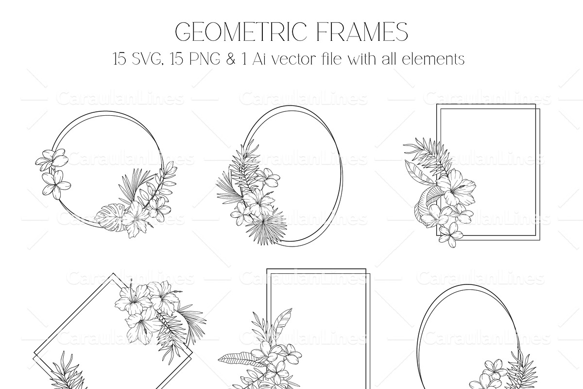 Tropical Plants Line Art, a Seasonal Illustration by CaraulanStore (Photo 5 of 9)