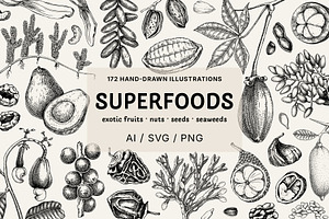 Superfoods: Fruit & Nuts Vector Set, a Food Illustration by Yevheniia