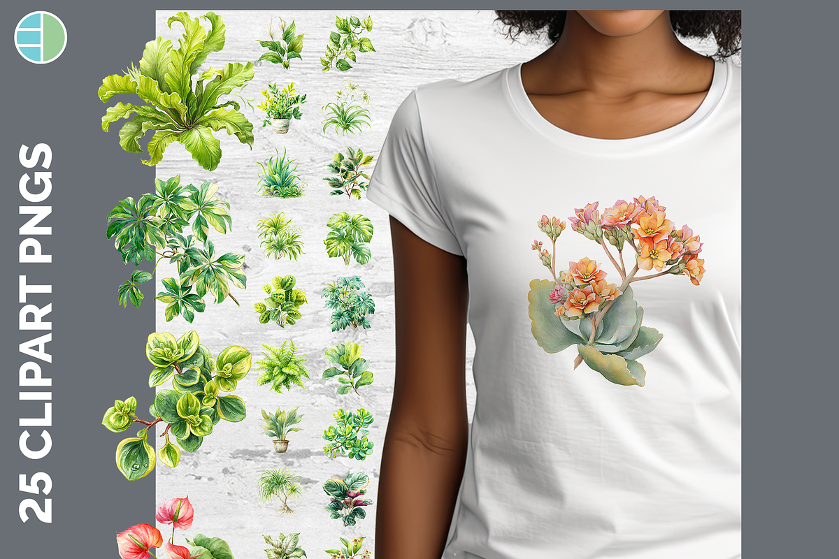 Houseplant Illustration Bundle, PNG, a Decorative Illustration by Enliven Designs (Photo 1 of 8)