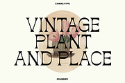 Rompluck - A Display Typeface, a Serif Font by Comactype Foundry (Thumbnail 8 of 20)