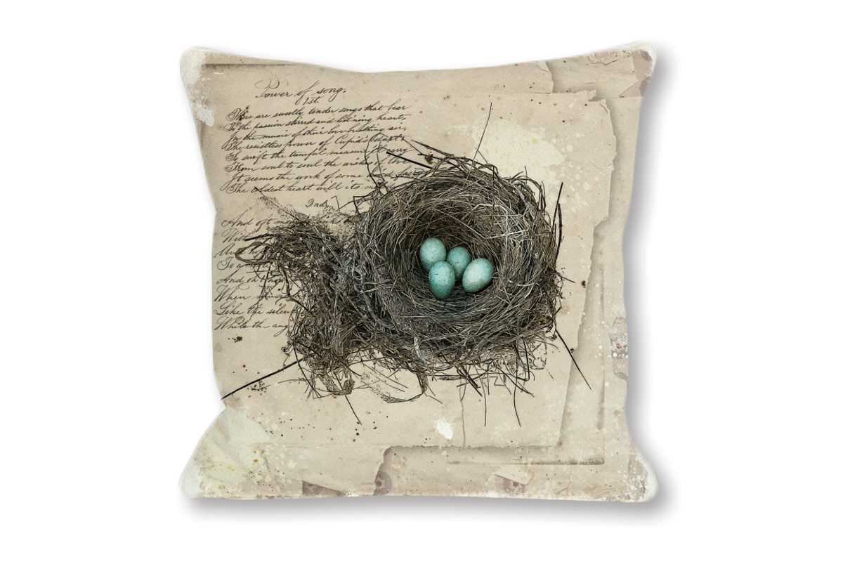 Robin's Nest - Sepia Edition, an Illustration by Digital Art Downloads (Photo 2 of 3)