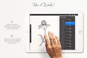 Floral Procreate Brushes And Stamps