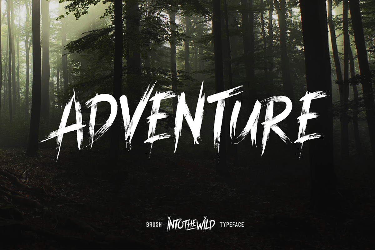 Into The Wild Typeface preview 2