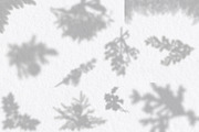 Christmas Unique Shadow Overlays, a Product Mockup by Lana Sham (Thumbnail 2 of 9)