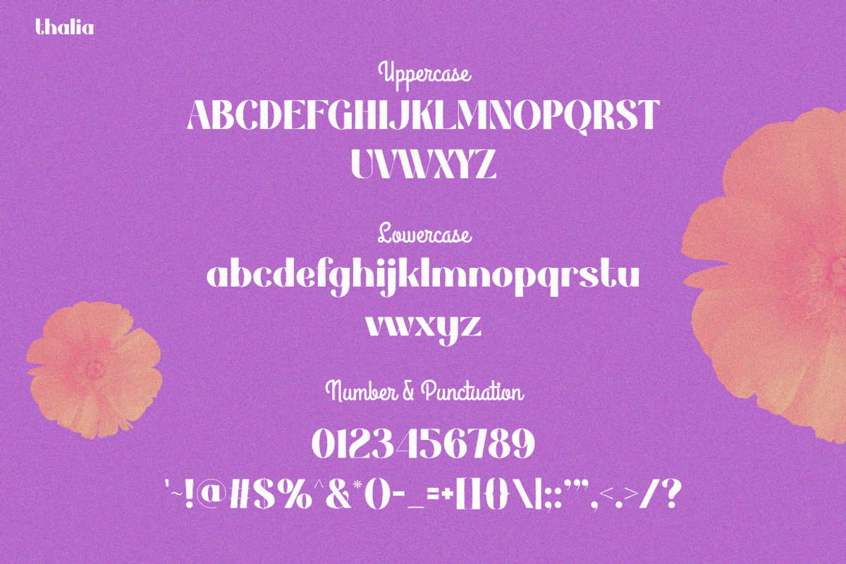 Thalia, a Serif Font by Pinisi ART (Photo 2 of 10)