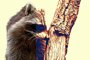 Vector Illustration Photo Effect, a Brushes & More by INTENTFX (Thumbnail 5 of 31)