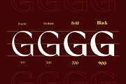 Rovaney - Fancy Font Family, a Serif Font by Arterfak Project (Thumbnail 3 of 15)