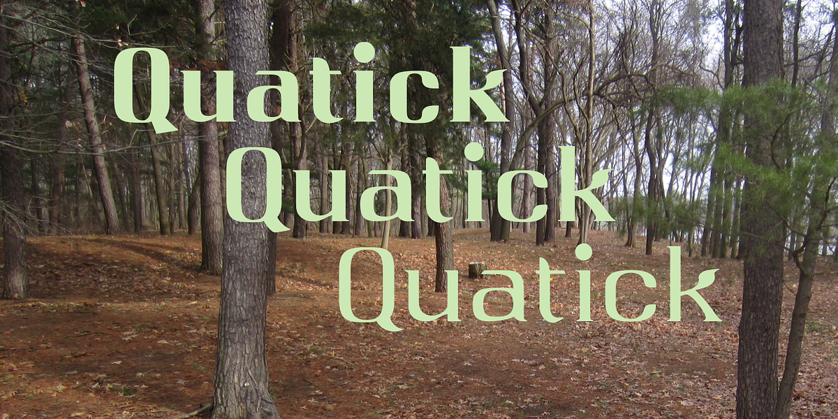 Qwatick, a Serif Font by Ingrimayne Type (Photo 4 of 8)