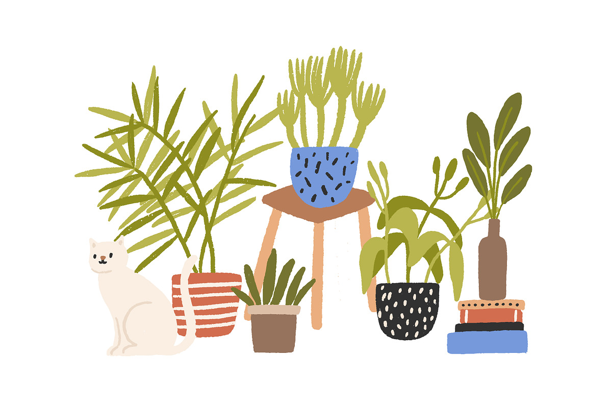 Houseplants composition, a Decorative Illustration by Good Studio (Photo 1 of 3)