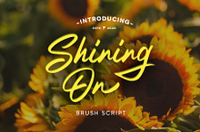 Shining On Brush Font