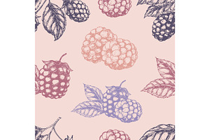 Raspberry blackberry seamless pettern. Vector illustration