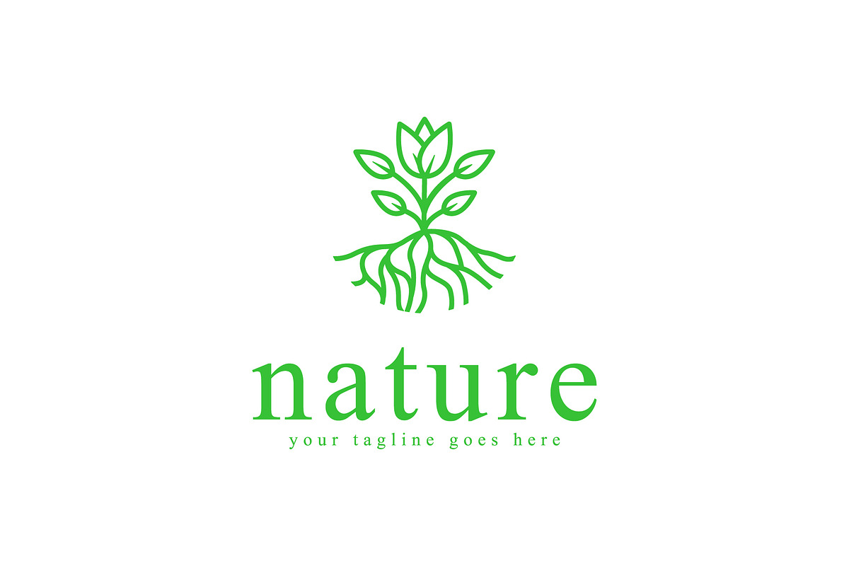 Tropical plant logo template, a Branding & Logo Template by Pyruos ID