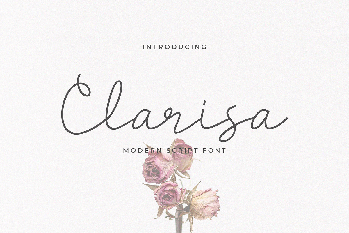 Clarisa Modern Script, a Handwritten Font by Heinzel Std (Photo 1 of 7)